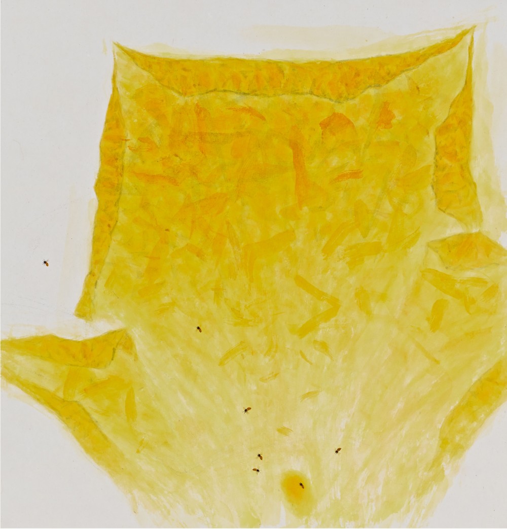 꽃_74x71cm_한지에 채색_2015년